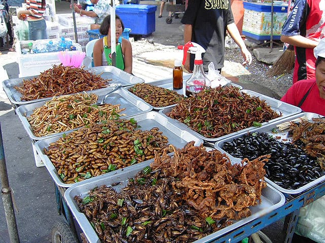 Poudre d'insecte dans l'alimentation.