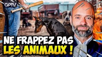 maitre chirstophe gerard sur la malraitance des animaux