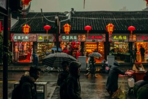 person carrying umbrellas